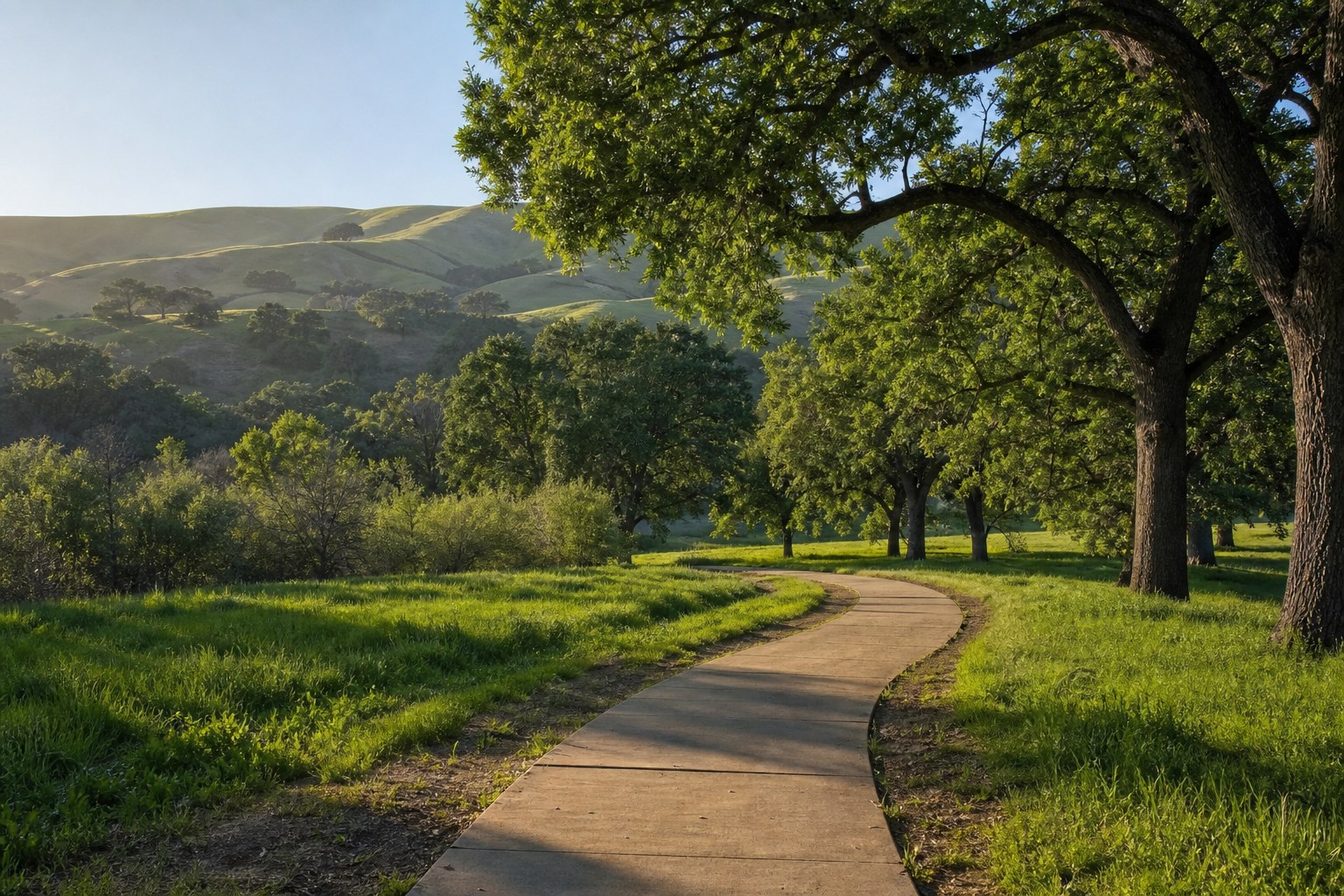 Concept image of a green suburban California park with oak trees